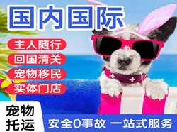 丹霞航空物流国际宠物托运 【国